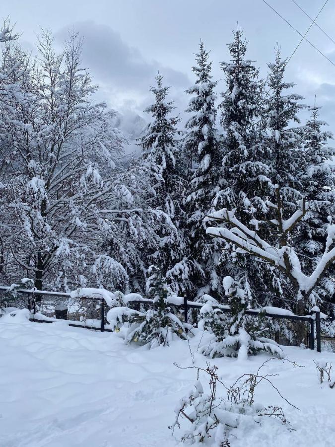 Buşteni Bohemian Chaletヴィラ エクステリア 写真